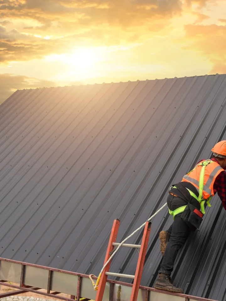 Roof 1